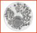 mold or mildew