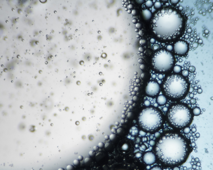 Soap mixing with oil under a microscope