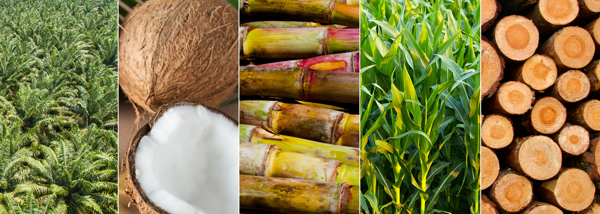 Sustainable Feedstocks
